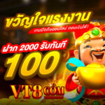 vt8app2